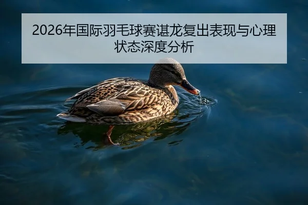 2026年国际羽毛球赛谌龙复出表现与心理状态深度分析