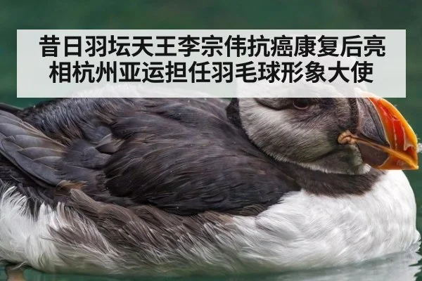 昔日羽坛天王李宗伟抗癌康复后亮相杭州亚运担任羽毛球形象大使