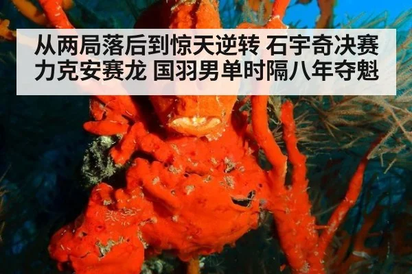 从两局落后到惊天逆转 石宇奇决赛力克安赛龙 国羽男单时隔八年夺魁